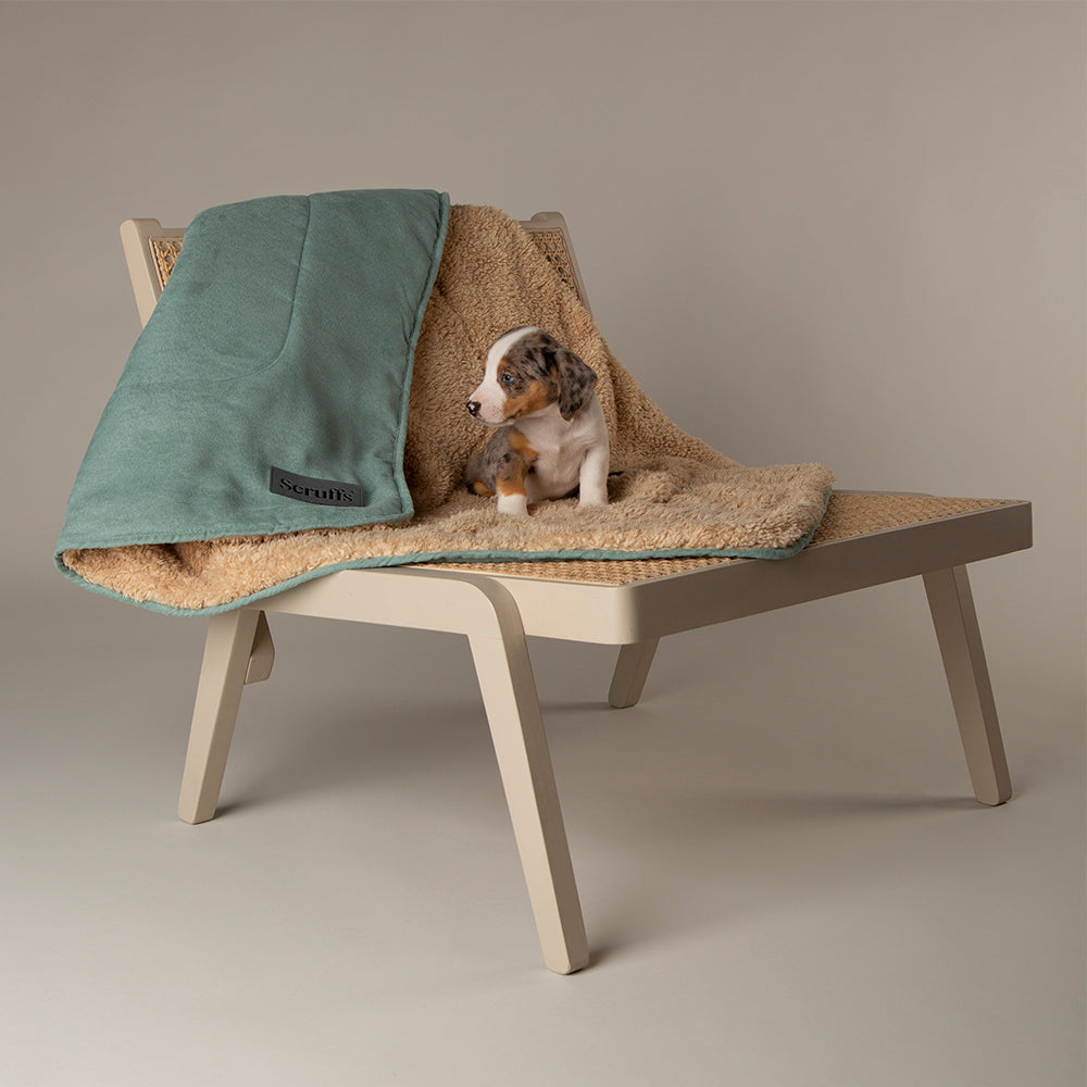 Snuggle Blanket - Sage Green