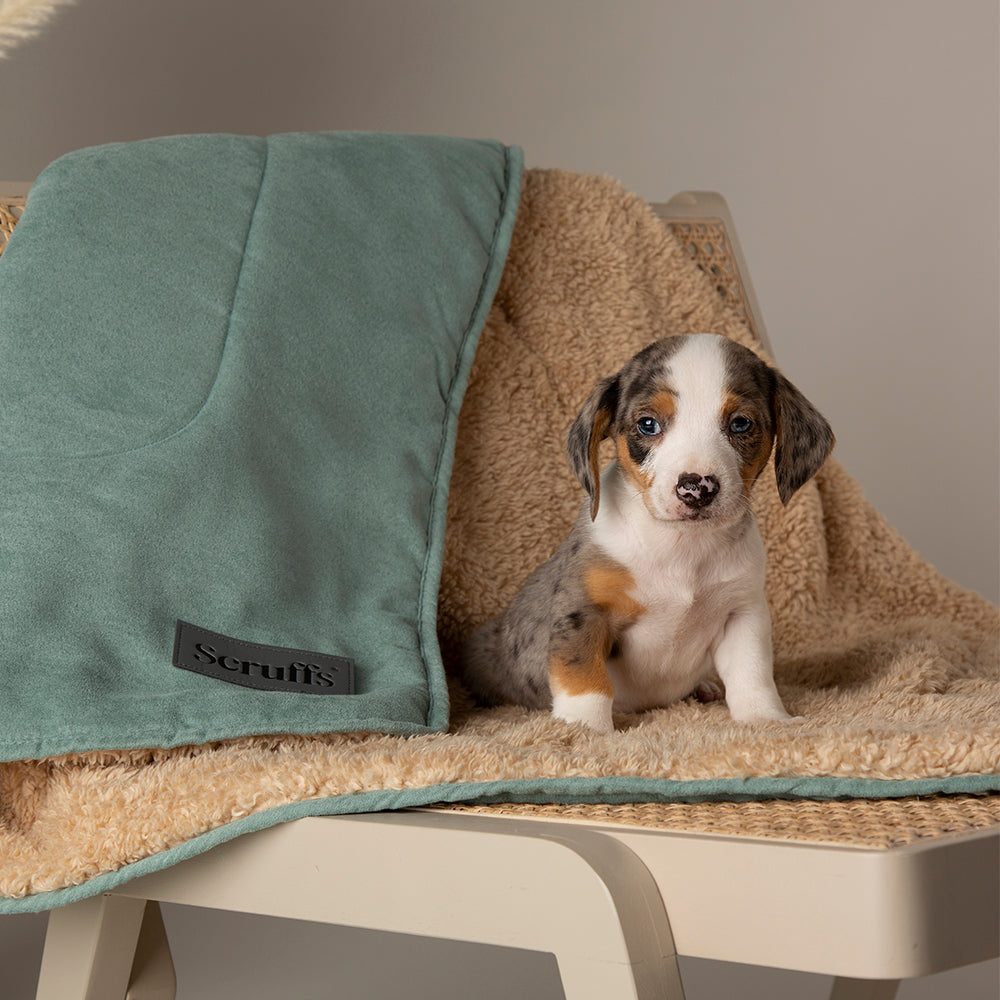 Snuggle Blanket - Sage Green