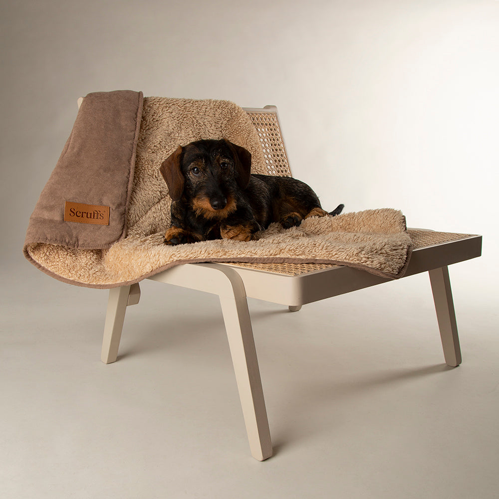 Snuggle Blanket - Caramel Brown