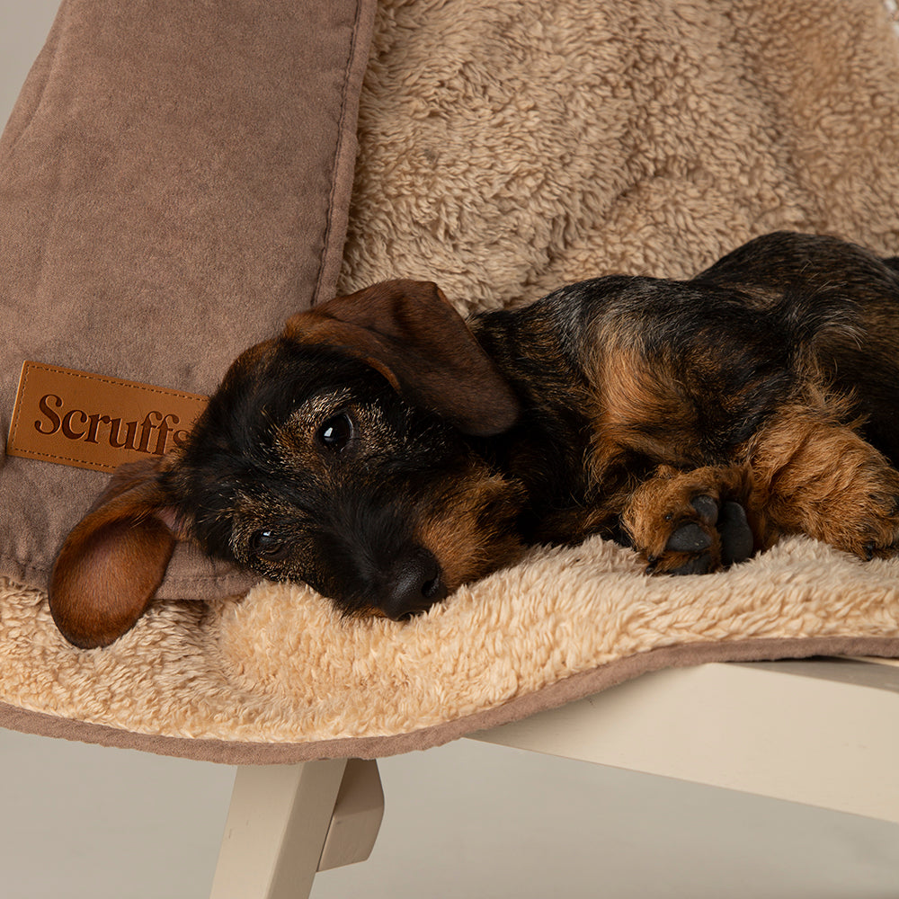 Snuggle Blanket - Caramel Brown