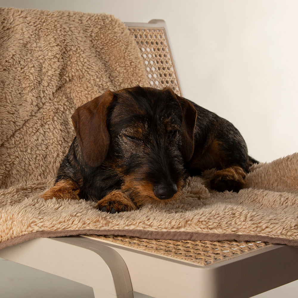 Snuggle Blanket - Caramel Brown