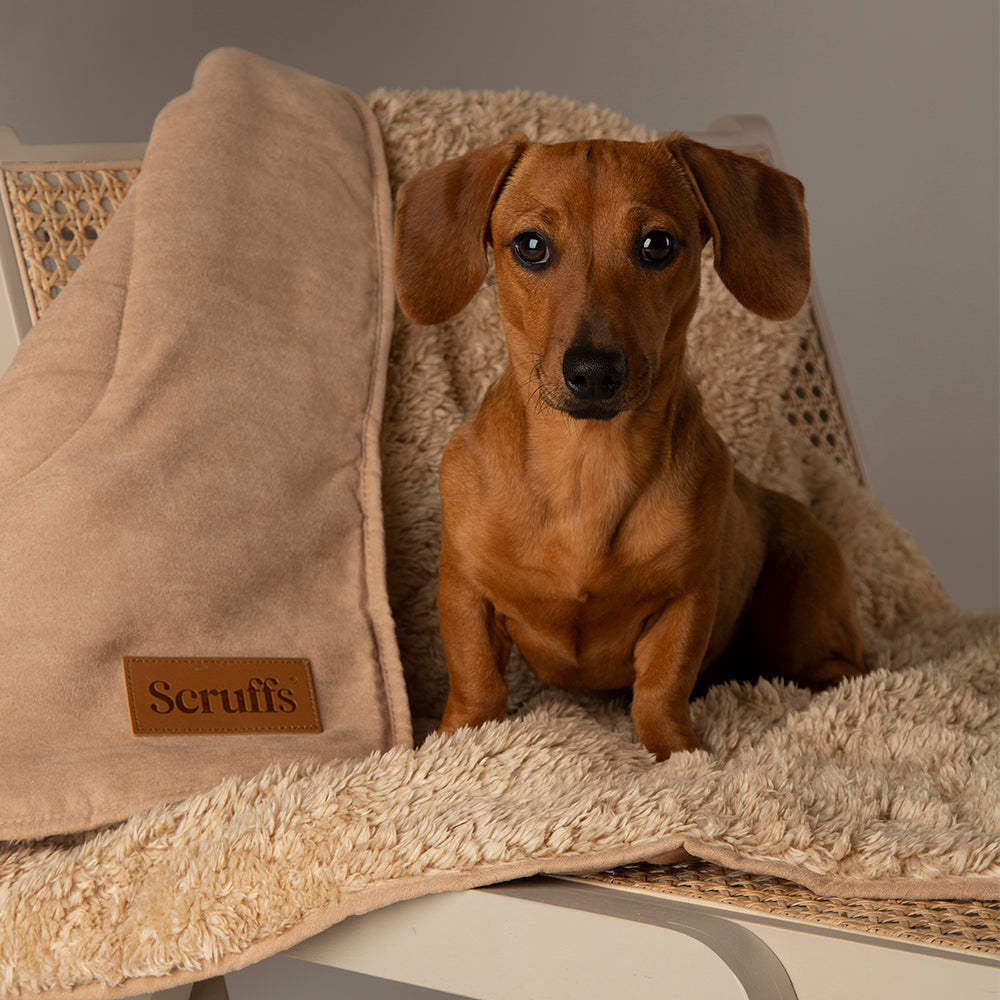 Snuggle Blanket - Desert Sand