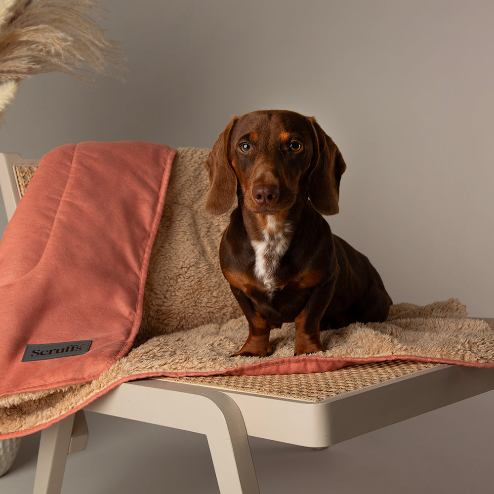 Snuggle Blanket - Terracotta