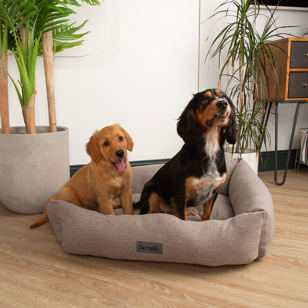 scruffs-seattle-box-bed-stone-grey
