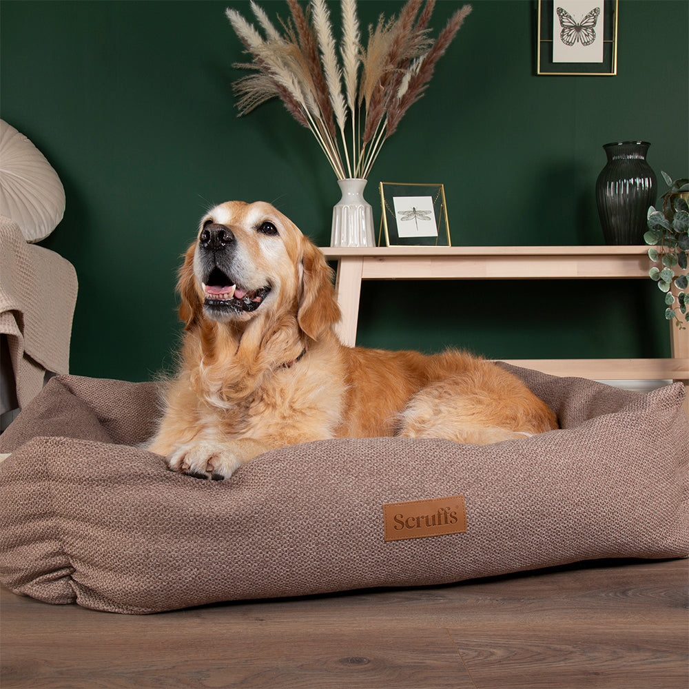 scruffs-seattle-box-bed-sienna-brown