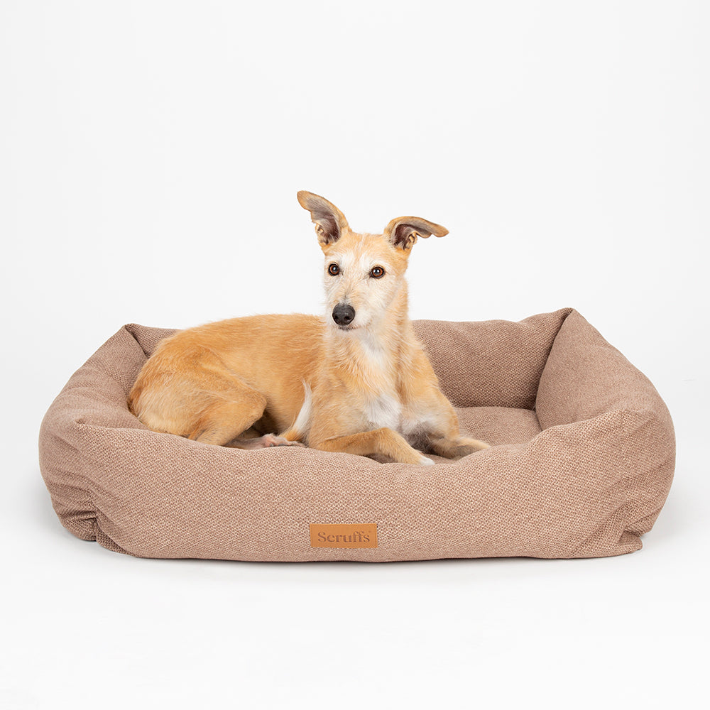 scruffs-seattle-box-bed-sienna-brown