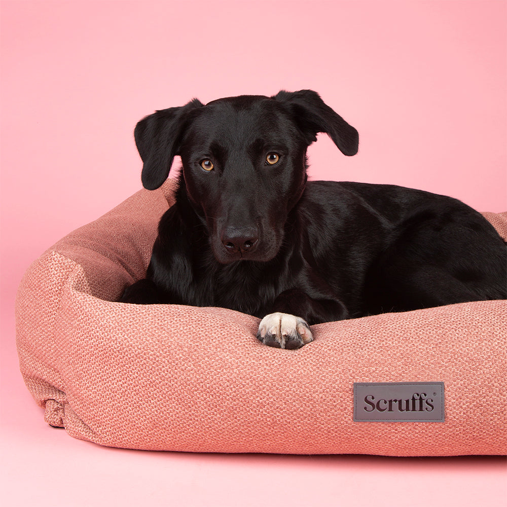 scruffs-seattle-box-bed-coral-pink