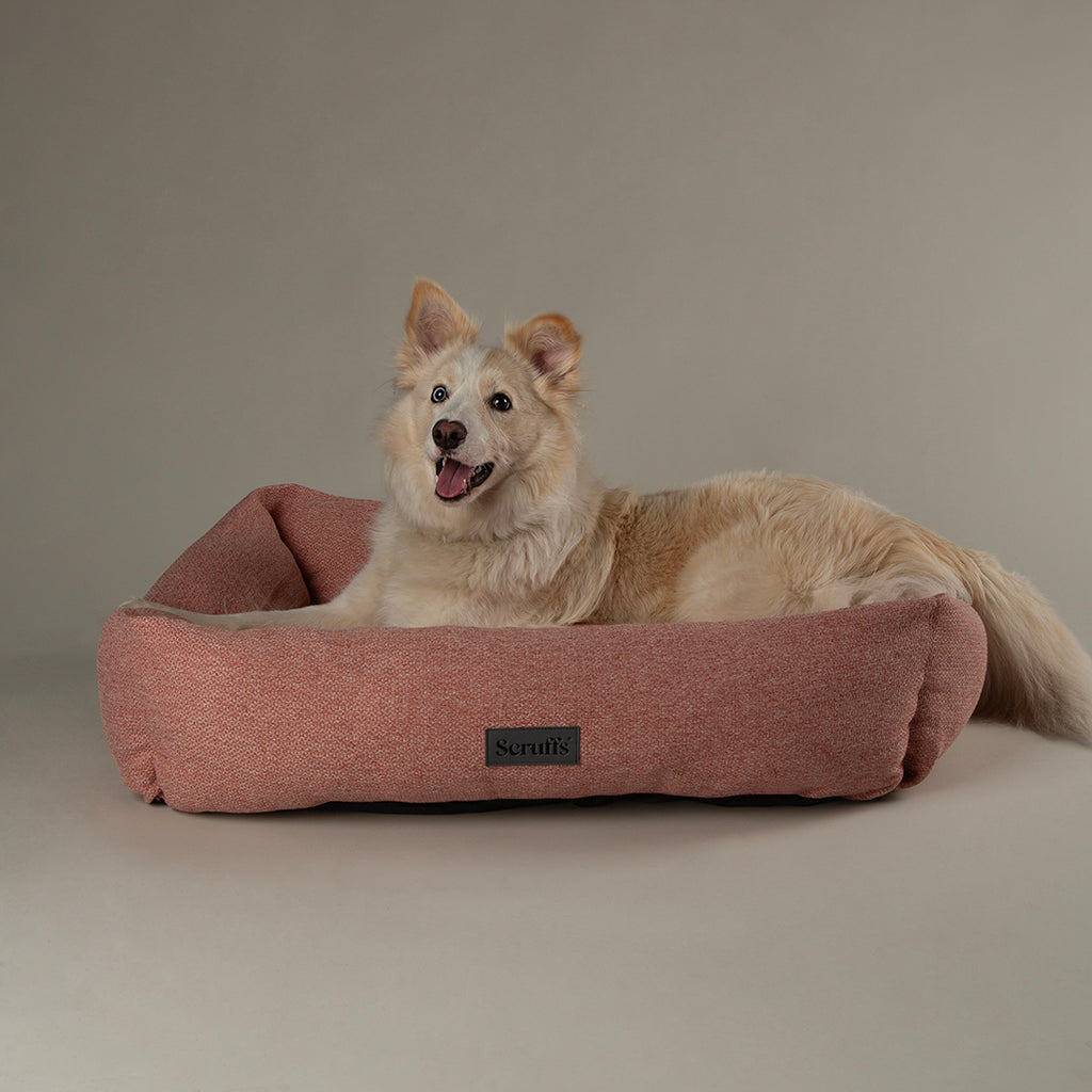 scruffs-seattle-box-bed-coral-pink