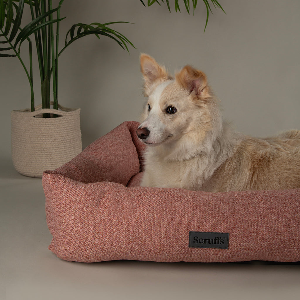 scruffs-seattle-box-bed-coral-pink