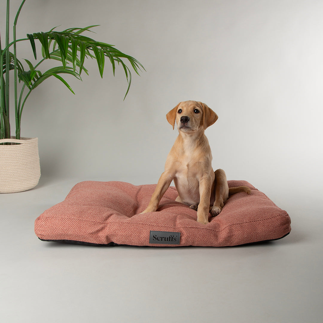 scruffs-seattle-mattress-coral-pink