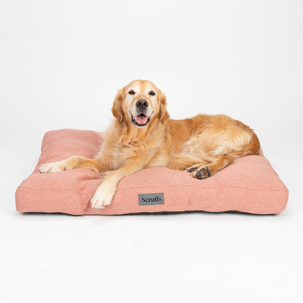 scruffs-seattle-mattress-coral-pink