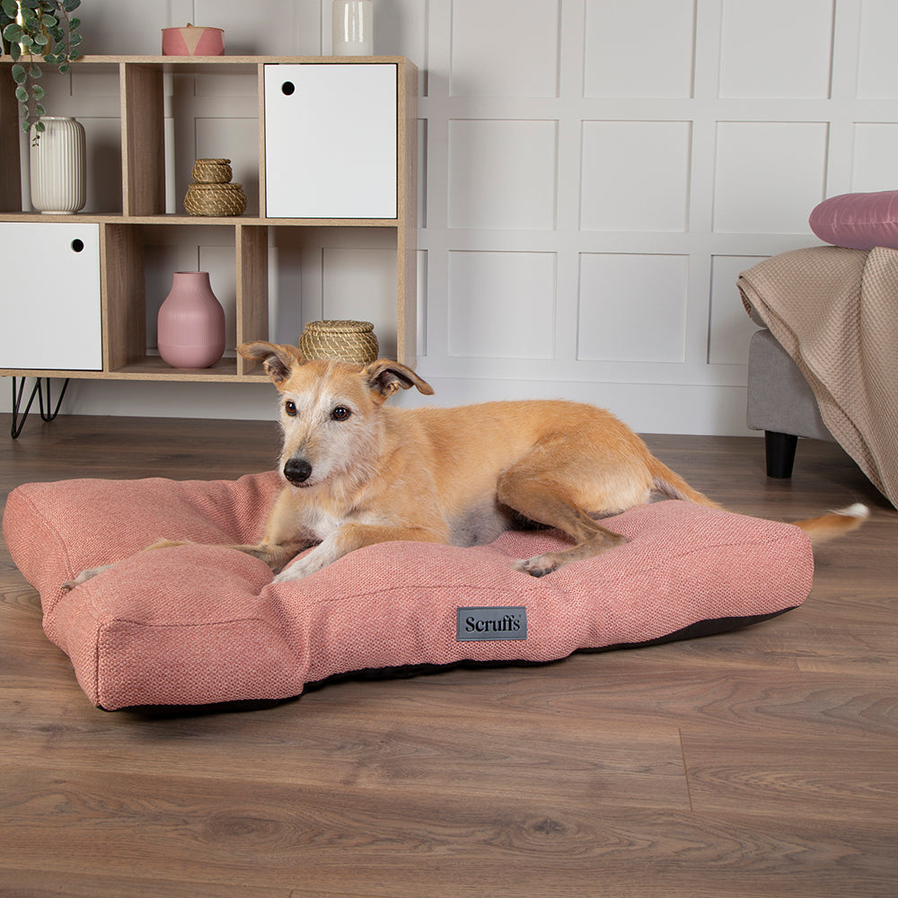 scruffs-seattle-mattress-coral-pink