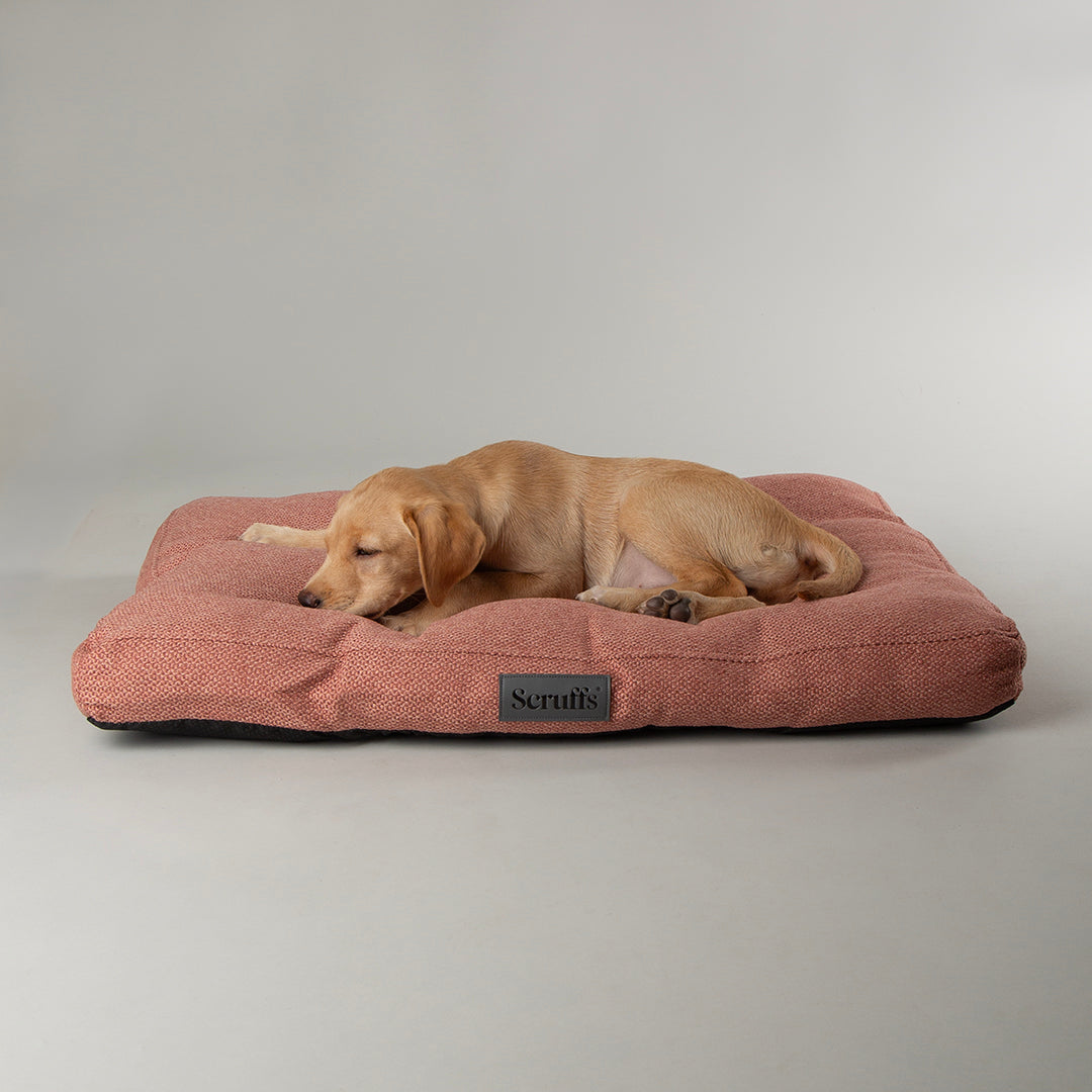 scruffs-seattle-mattress-coral-pink