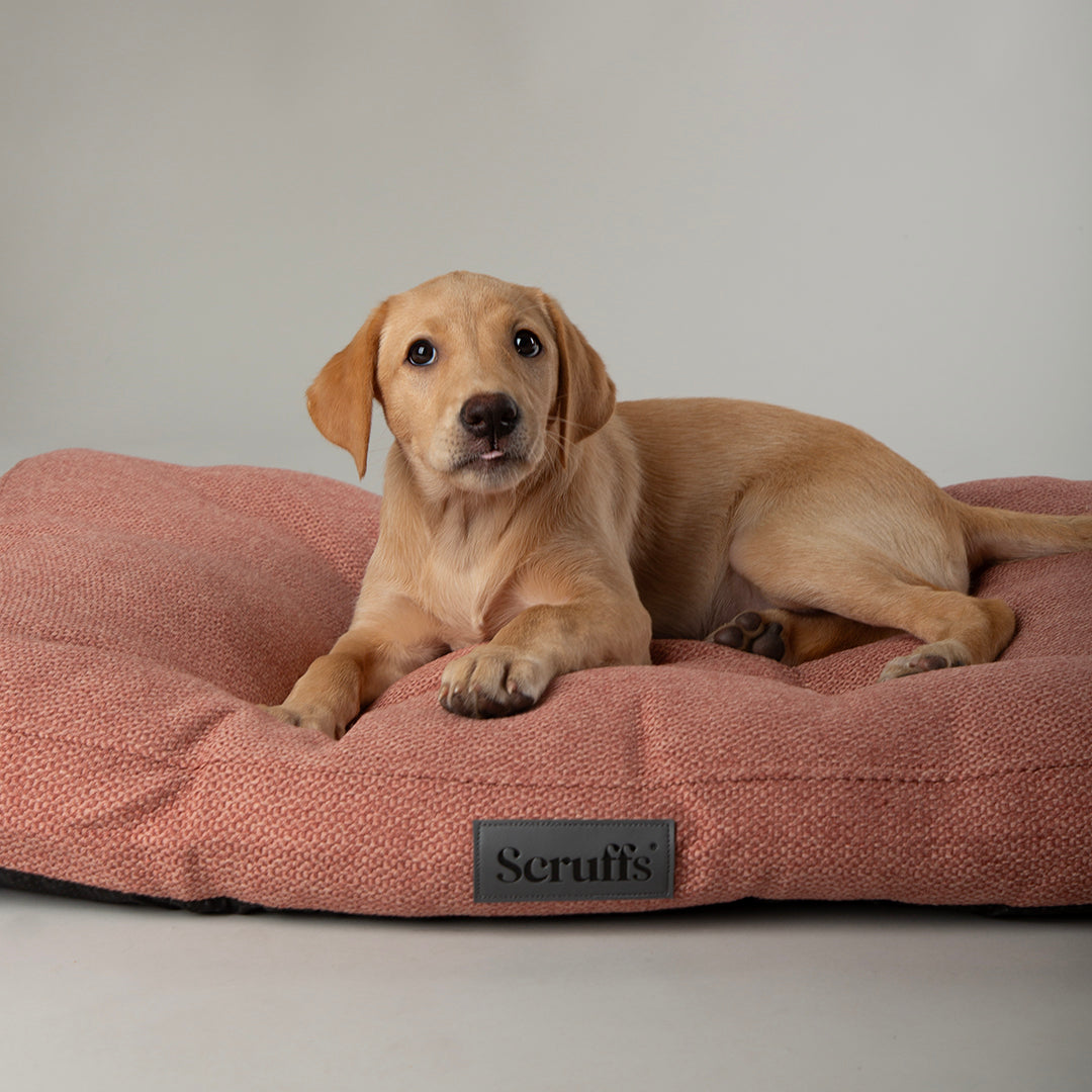 scruffs-seattle-mattress-coral-pink