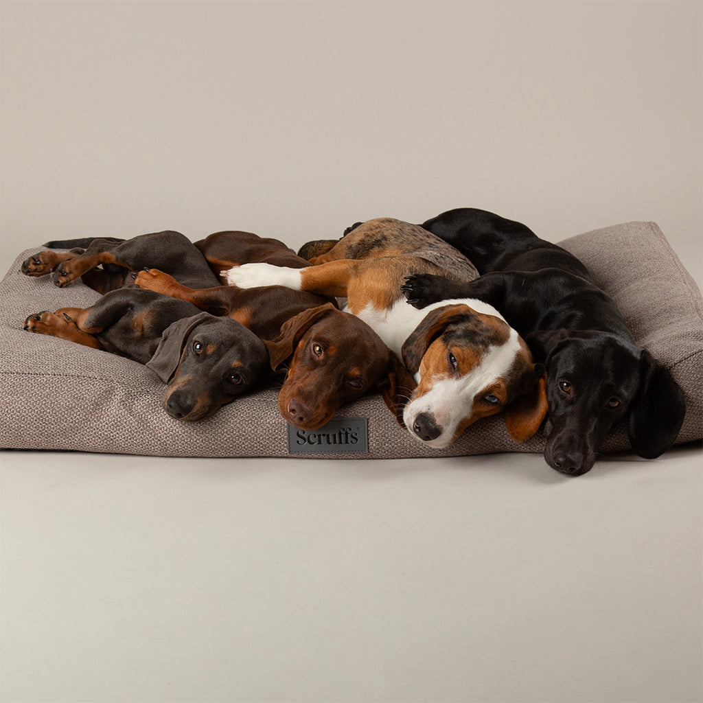 scruffs-seattle-mattress-stone-grey