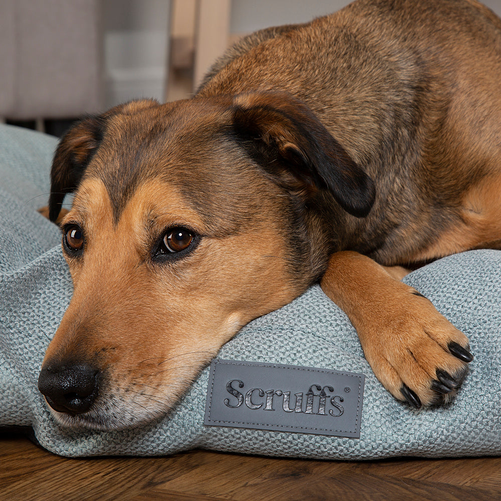 scruffs-seattle-mattress-topaz-green