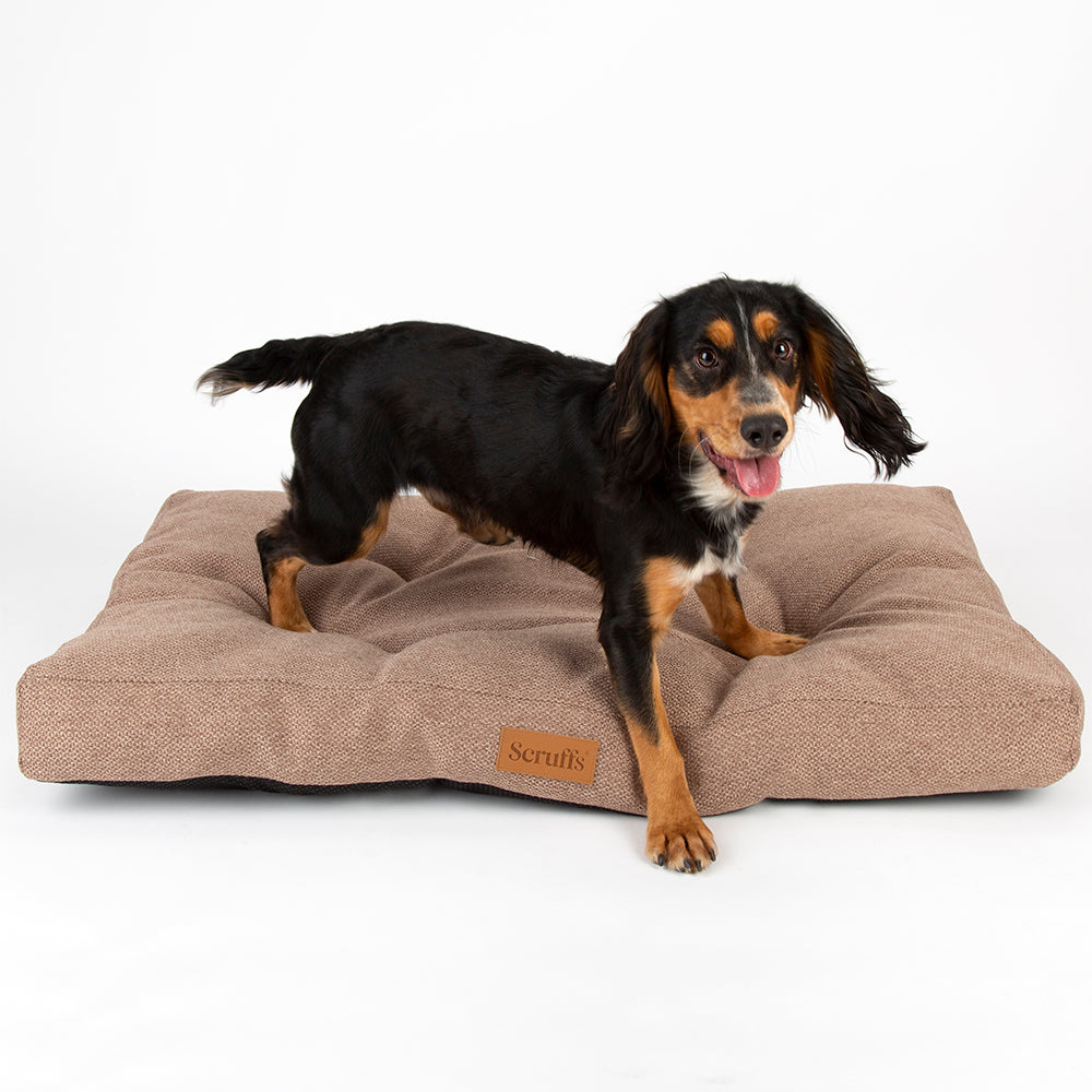 scruffs-seattle-mattress-sienna-brown