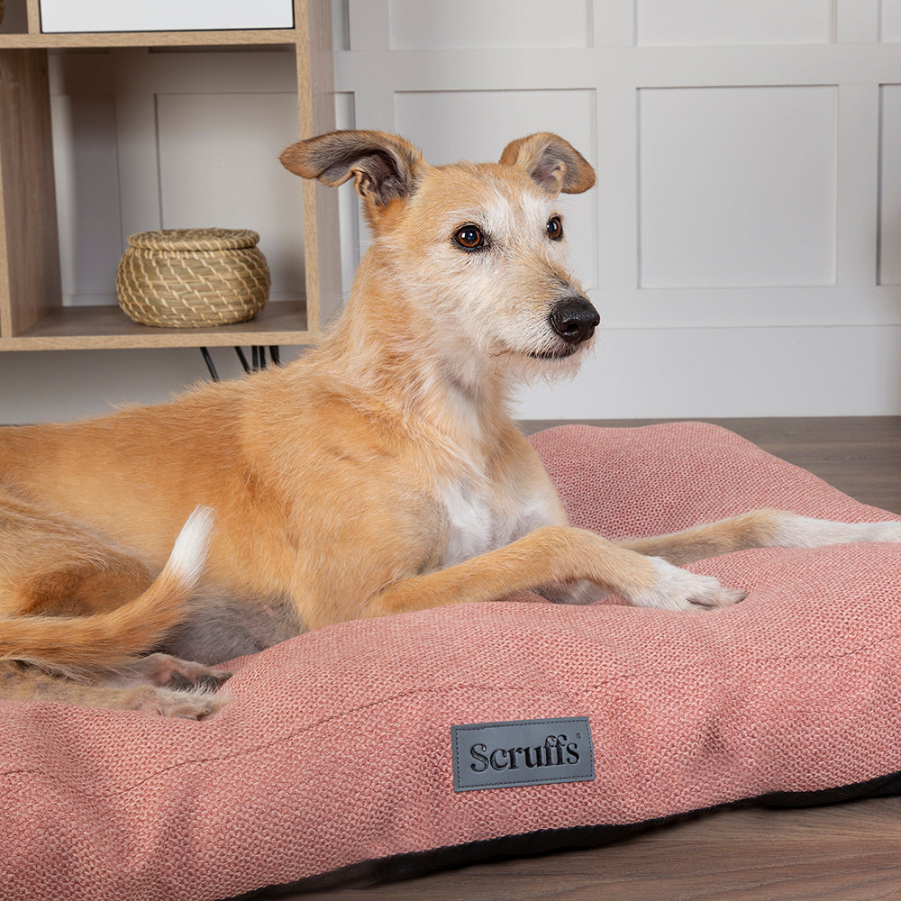 scruffs-seattle-mattress-coral-pink