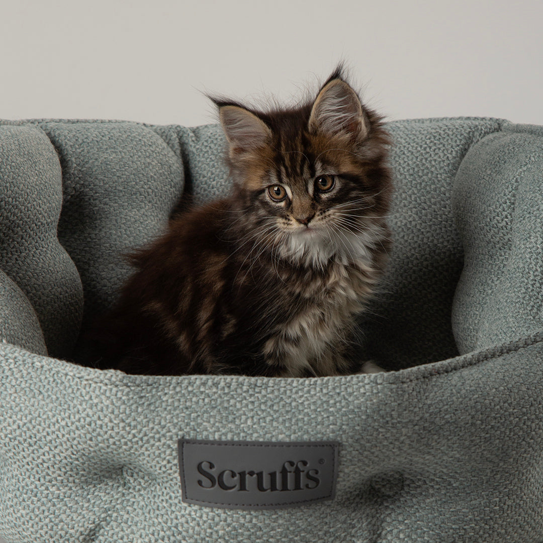 Seattle Cat Bed - Topaz Green