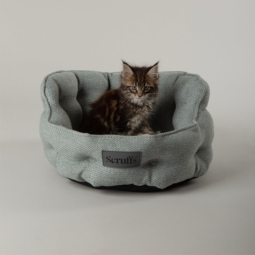 Seattle Cat Bed - Topaz Green