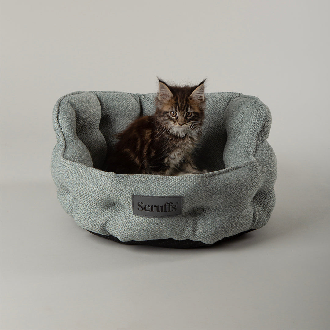 Seattle Cat Bed - Topaz Green