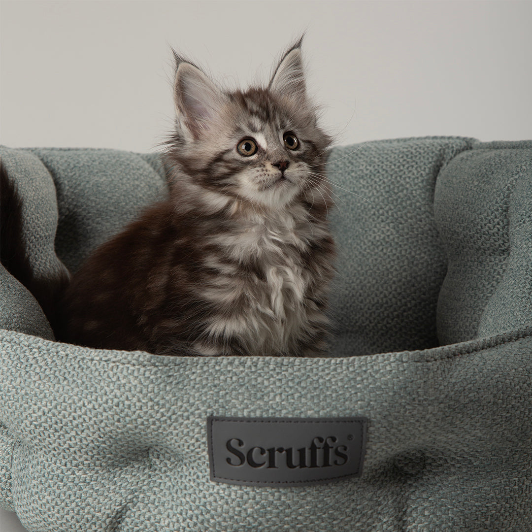 Seattle Cat Bed - Topaz Green