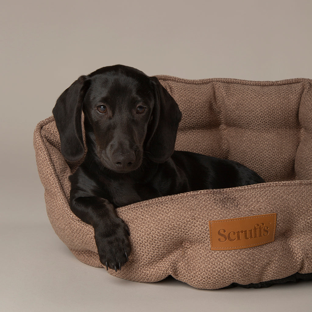 Seattle Cat Bed - Sienna Brown