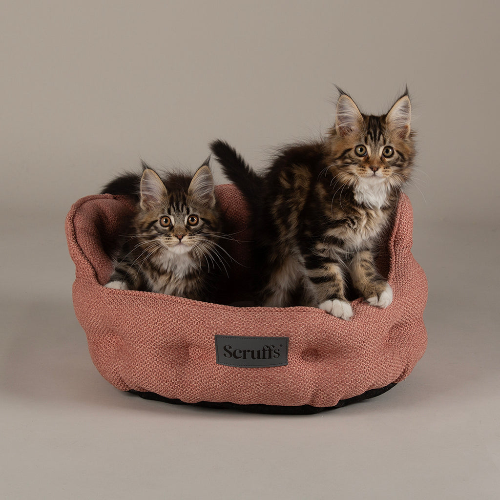 Seattle Cat Bed - Coral Pink