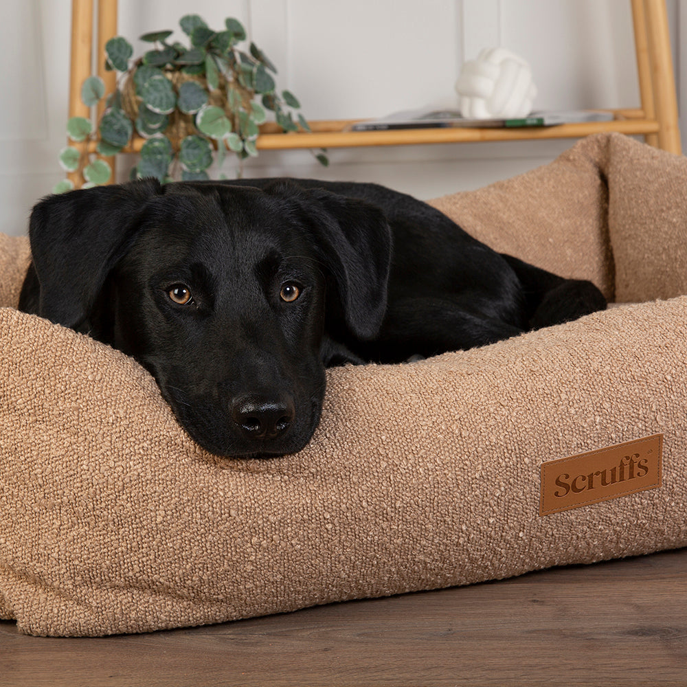 Scruffs Boucle Box Bed