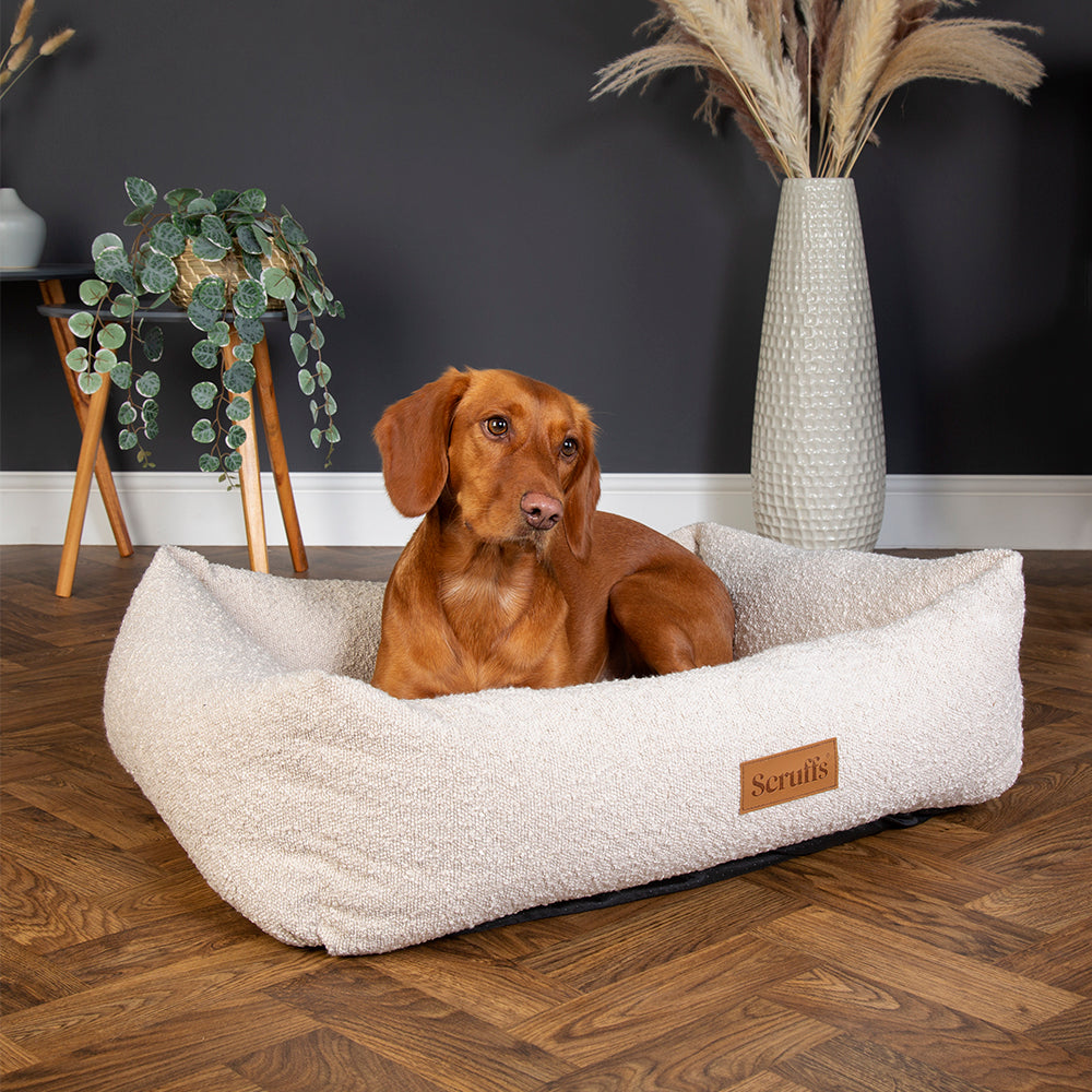 Scruffs Boucle Box Bed