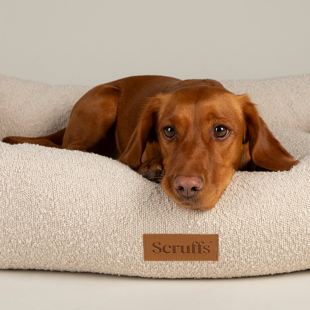 Scruffs Boucle Box Bed