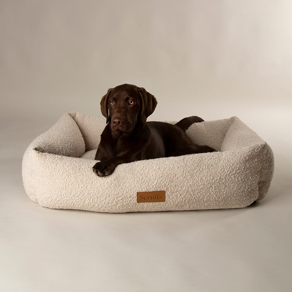 Scruffs Boucle Box Bed