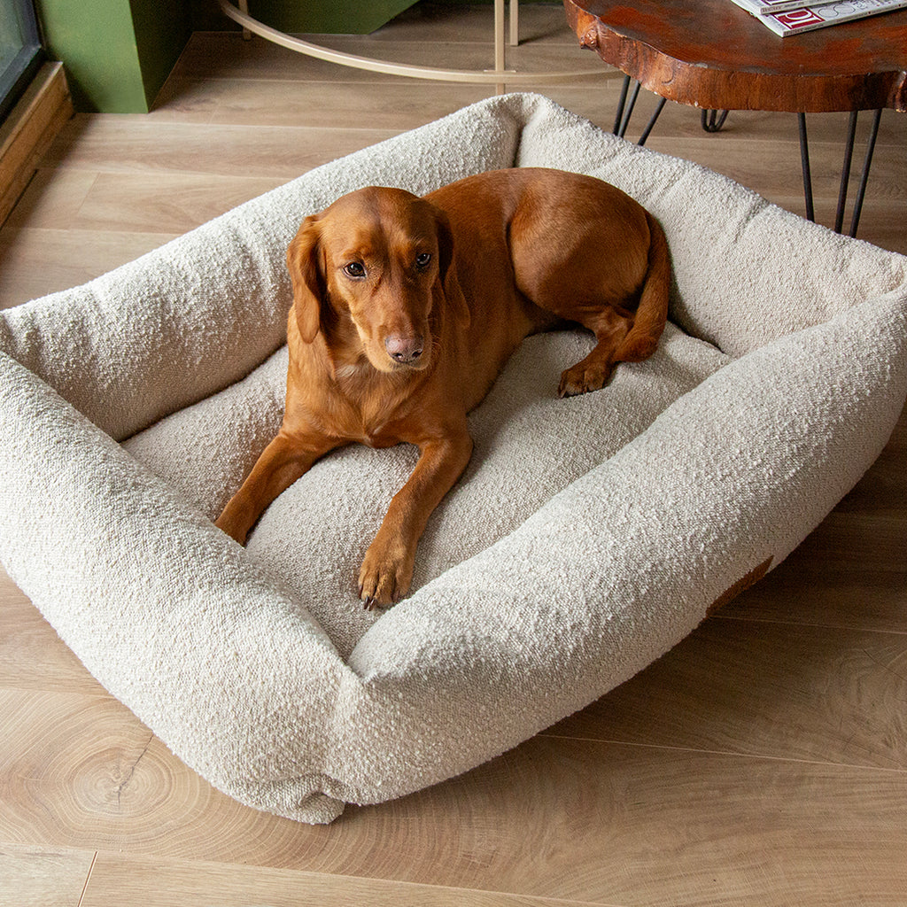 Scruffs Boucle Box Bed