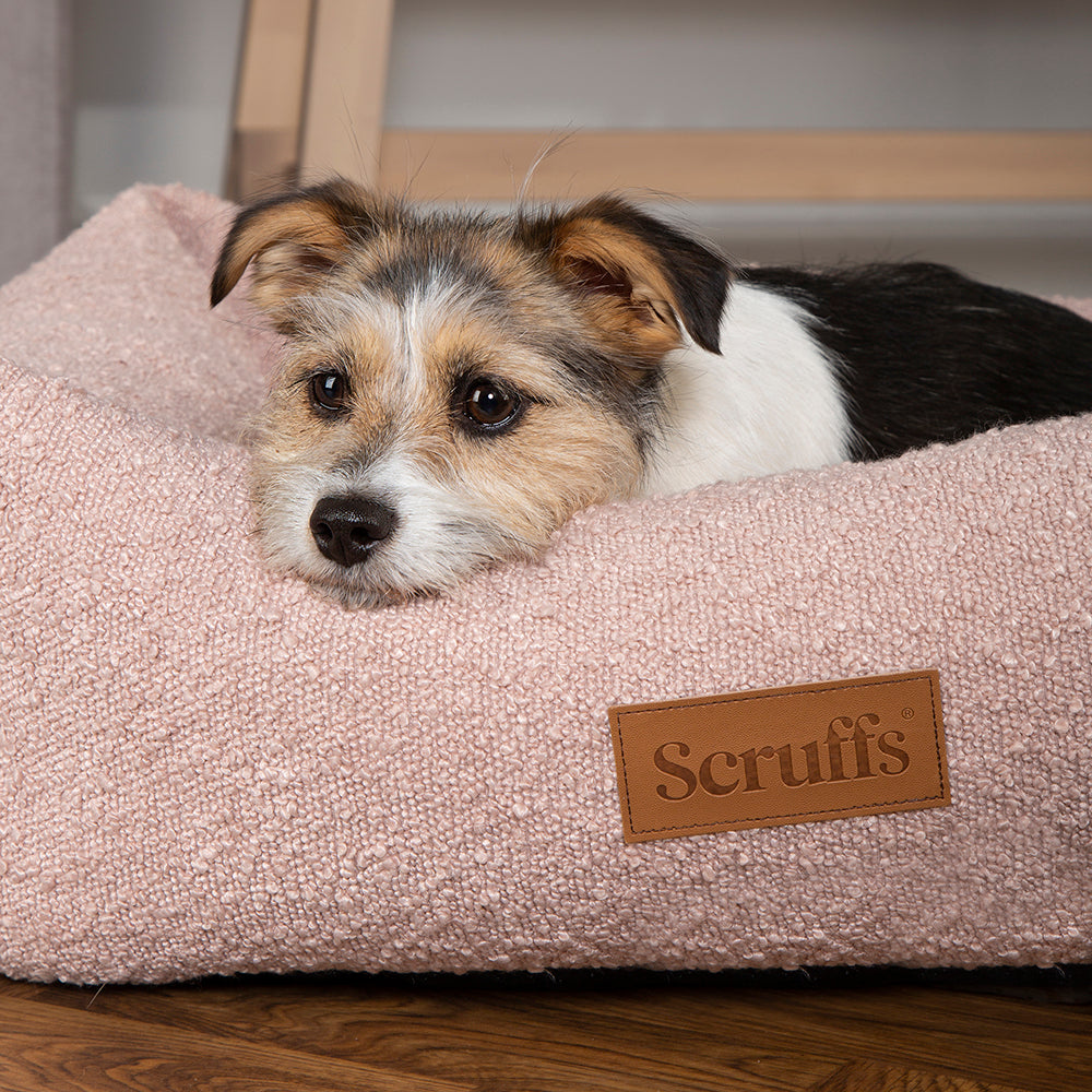 Boucle Box Bed