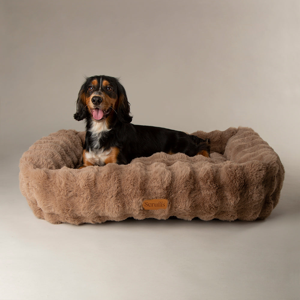 Scruffs Alpine Box Bed