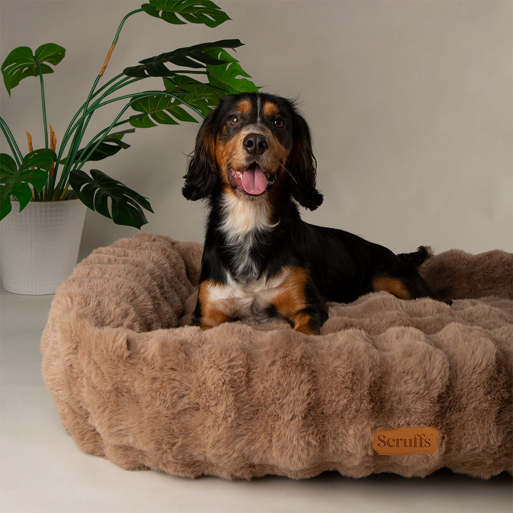 Scruffs Alpine Box Bed