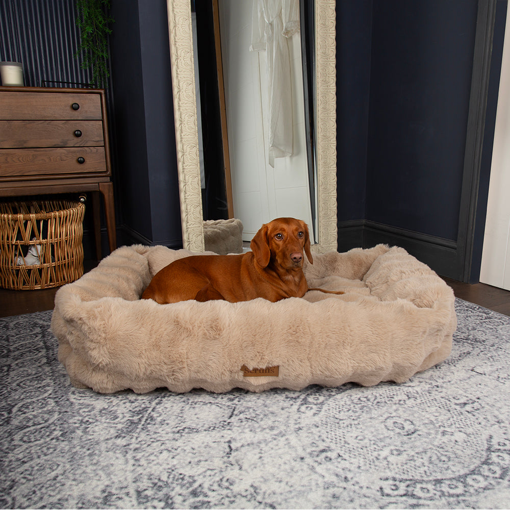 Scruffs Alpine Box Bed