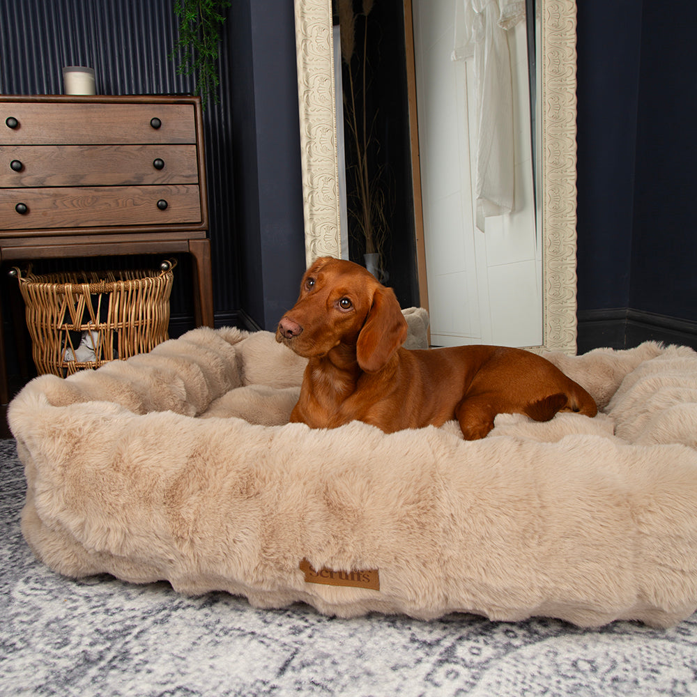 Scruffs Alpine Box Bed
