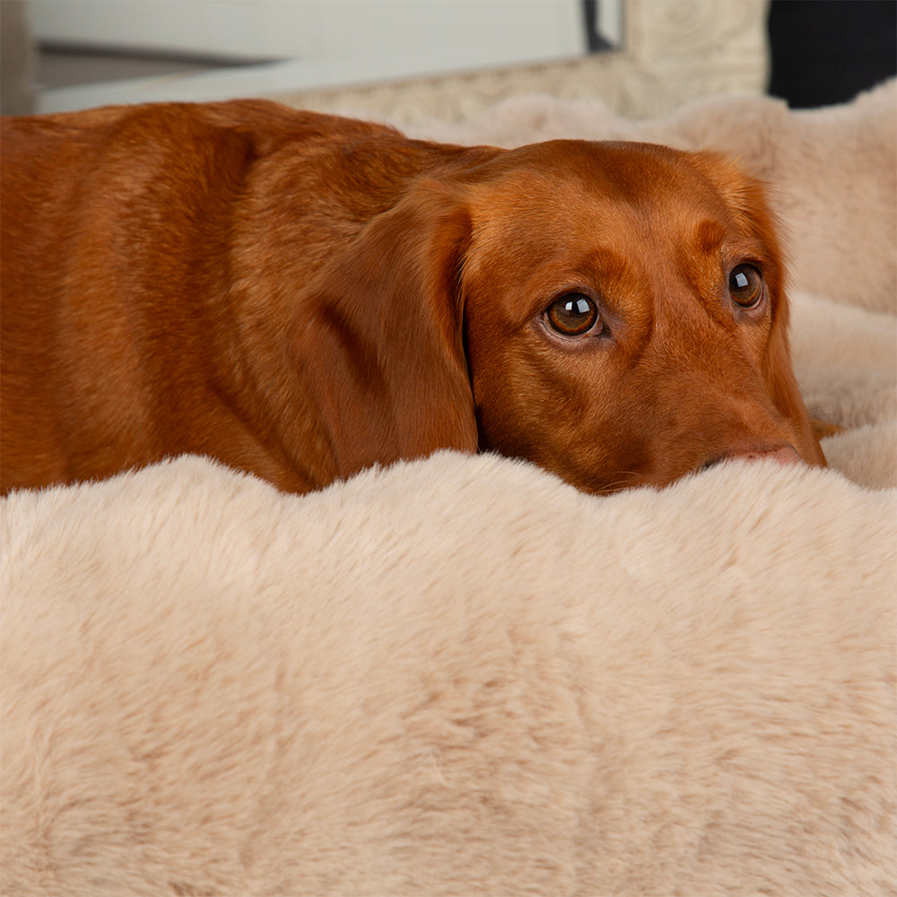 Scruffs Alpine Box Bed