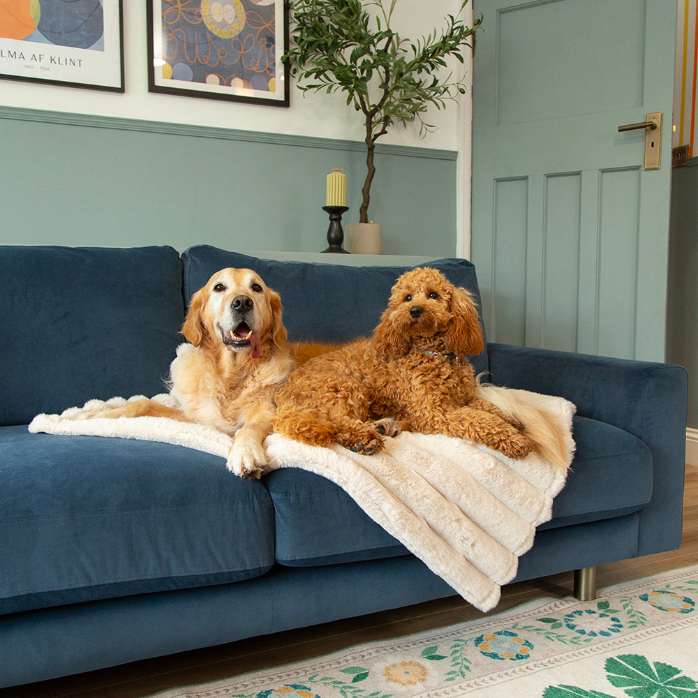 scruffs-aspen-blanket