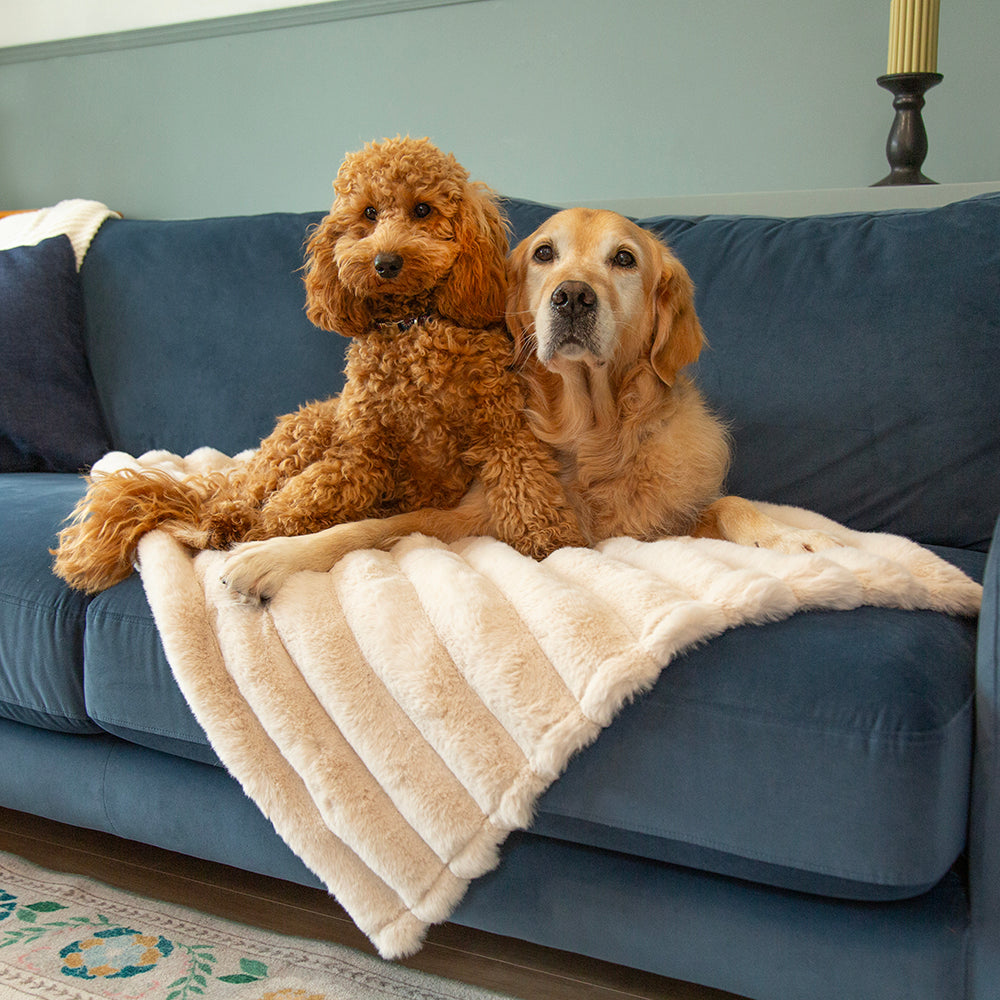 scruffs-aspen-blanket