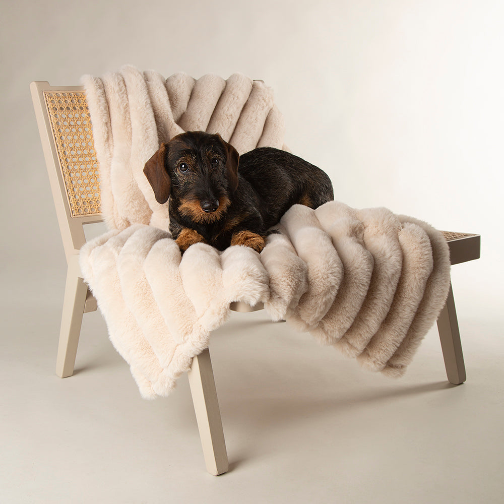 scruffs-aspen-blanket