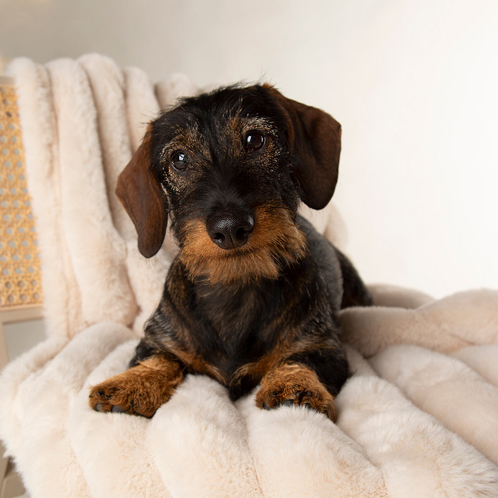 scruffs-aspen-blanket