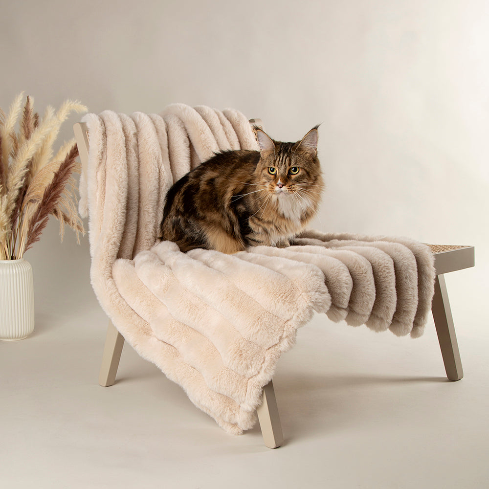 scruffs-aspen-blanket