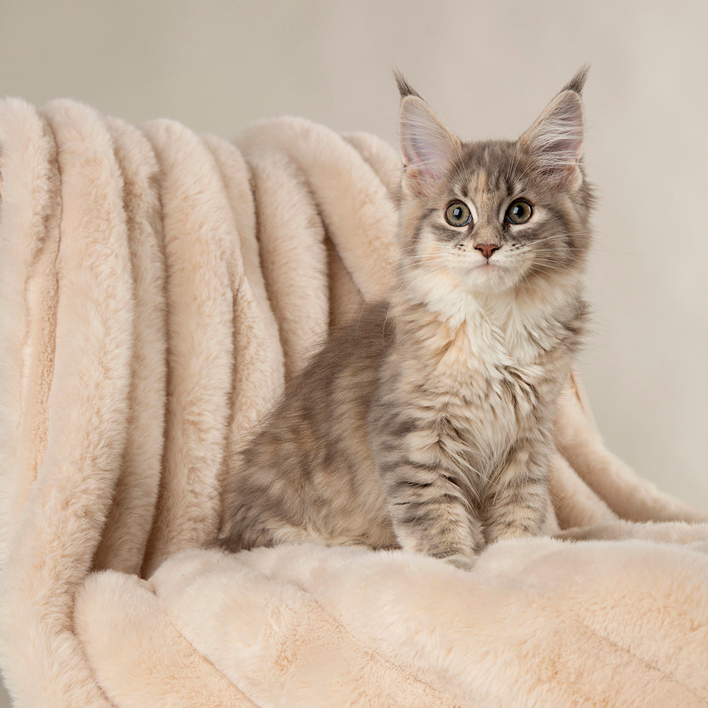 scruffs-aspen-blanket