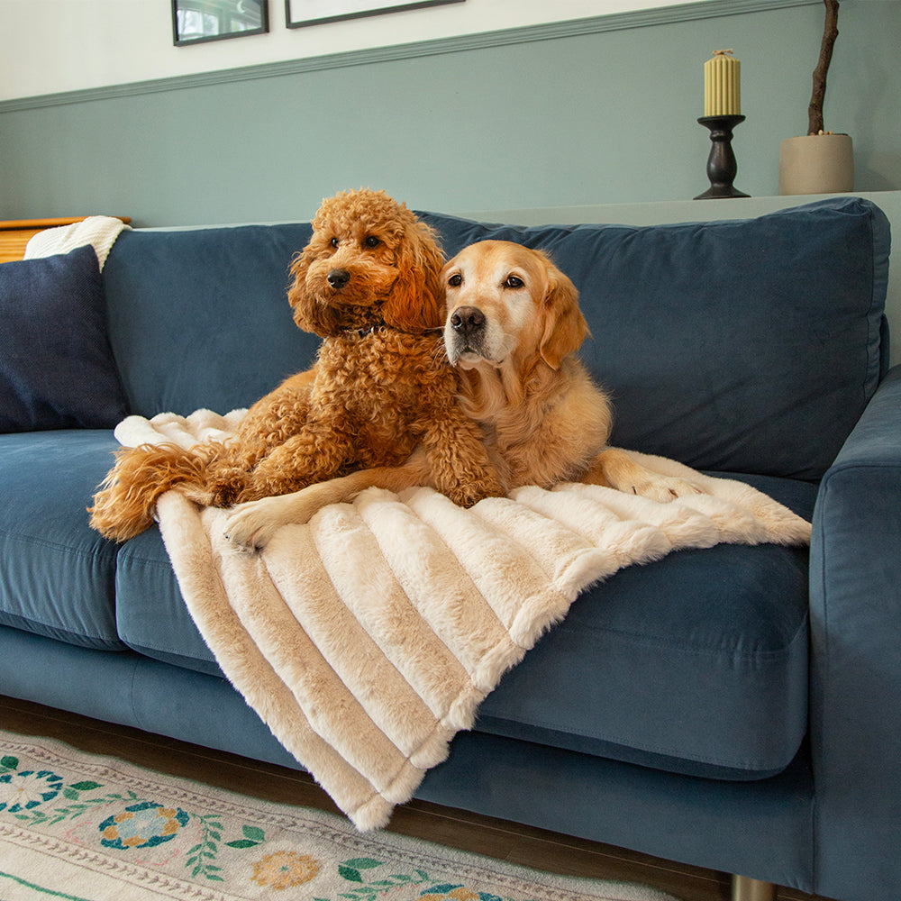 scruffs-aspen-blanket