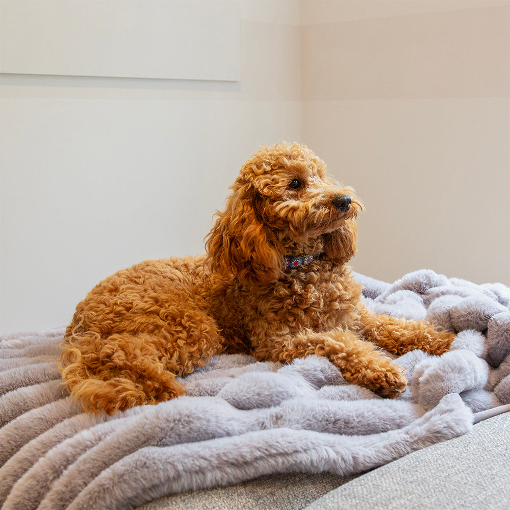 scruffs-aspen-blanket