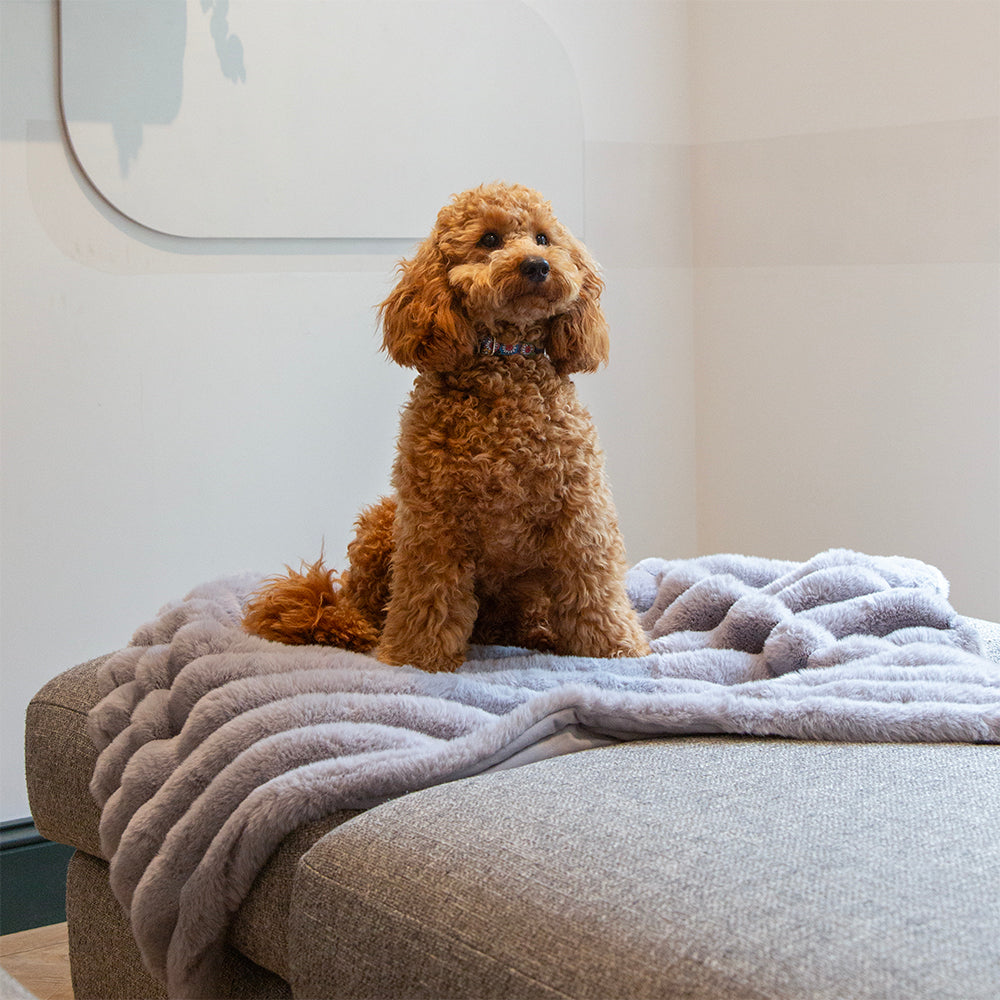 scruffs-aspen-blanket