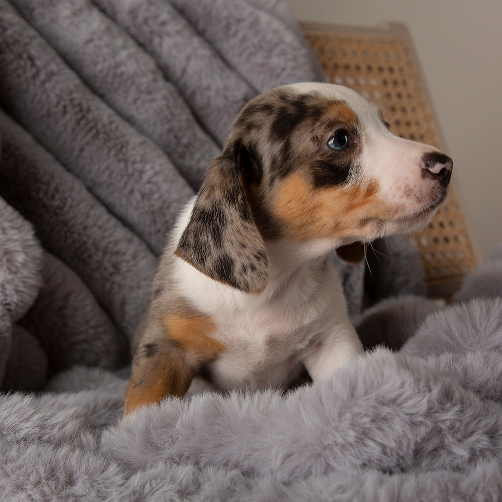 scruffs-aspen-blanket