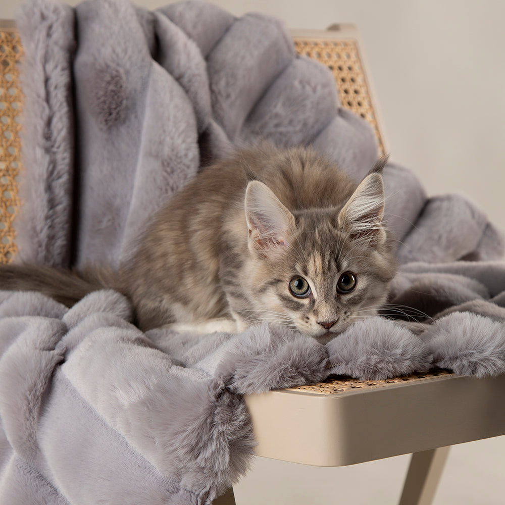 scruffs-aspen-blanket- M Grey